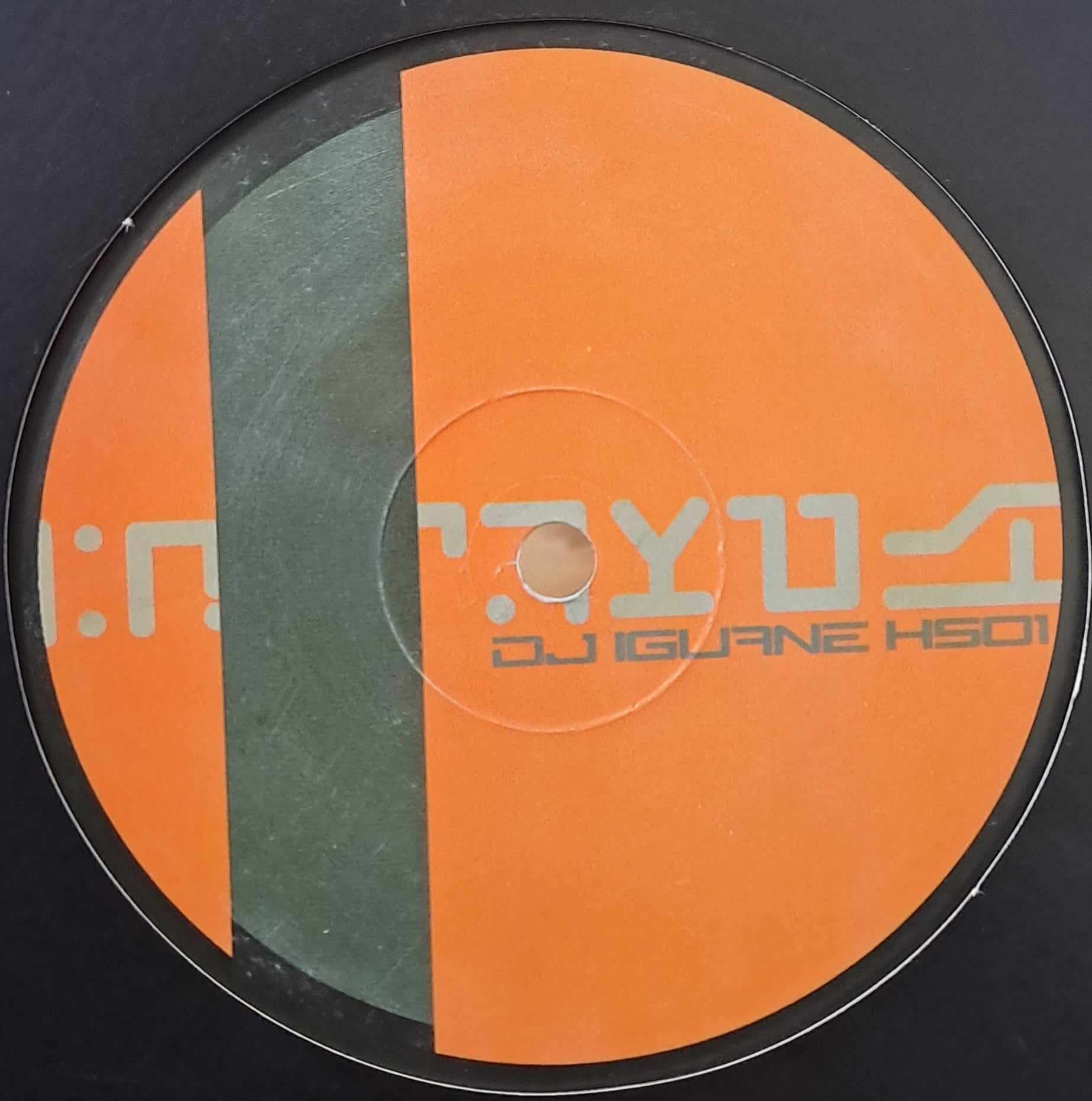 Iguane Horserie 01 - vinyle techno